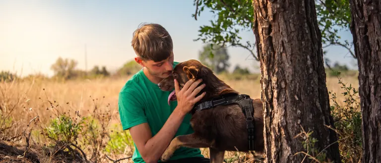 Cani del Rifugio comunale di Alliste-Felline curati da AnimAll APS